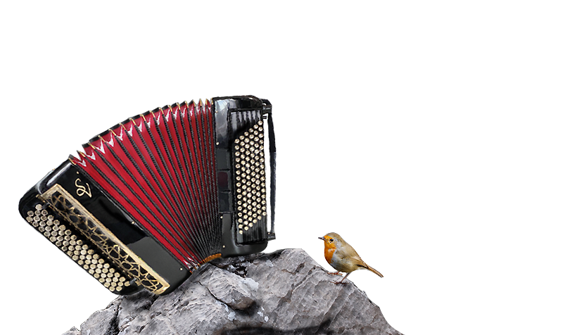 Музыкальные инструменты высочайшего качества из Италии